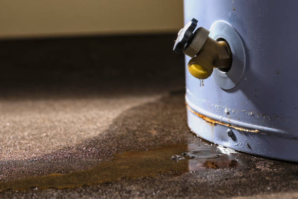 Best 24-hour water damage restoration  in Fern Prairie, WA