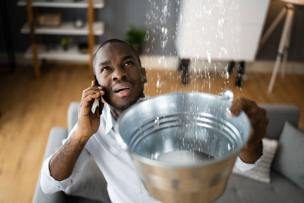 Best 24/7 water damage repair  in Fern Prairie, WA