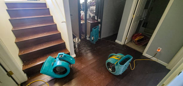 Best Water damage restoration mold remediation  in Fern Prairie, WA