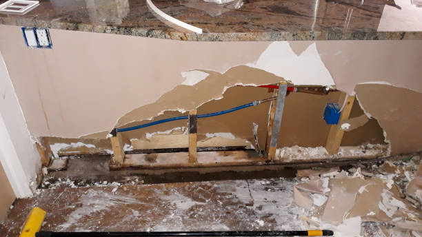 Best Water damage restoration experts  in Fern Prairie, WA