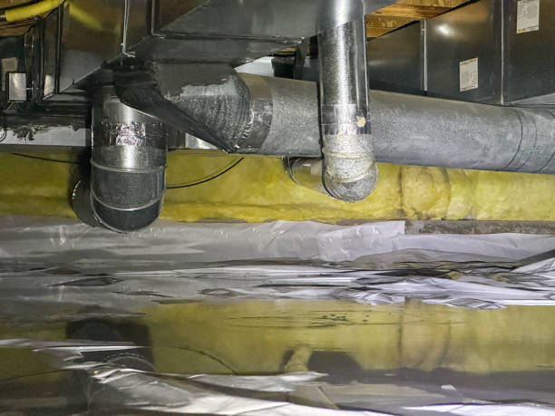 Best Ceiling water damage repair  in Fern Prairie, WA