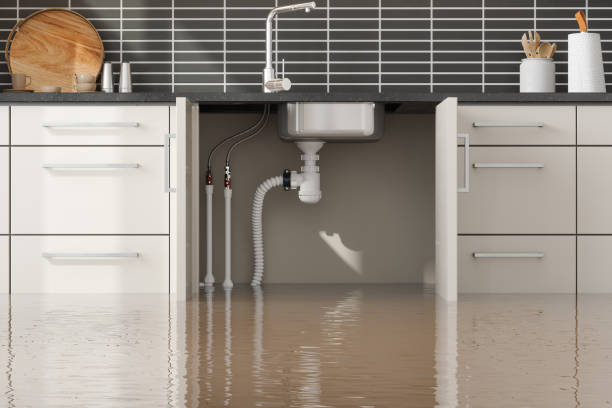 Best Residential water damage restoration  in Fern Prairie, WA