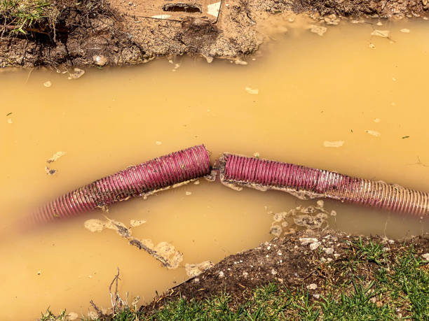 Best Commercial water damage restoration  in Fern Prairie, WA