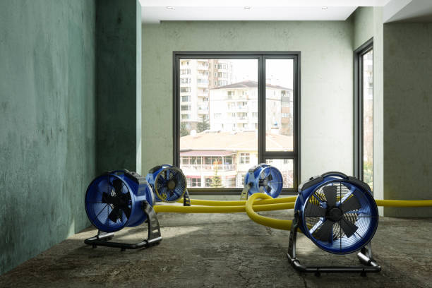 Water damage restoration experts in WA
